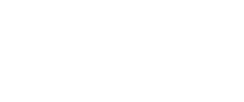 bnrhalf_results_fixed